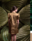 Collar Detail Princess Seam v Dress