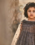 Hand Embroidered Cape and Silk Organza Dress - Swati Golyan