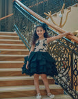 Hand Embroidered Bodice With Hand Pleated Skirt - Swati Golyan