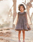 Hand Embroidered Cape and Silk Organza Dress - Swati Golyan