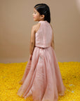 Hand Embroidered Sequined Polkas Pastel Pink Silk Organza lehenga and crop top set for Girls - Swati Golyan