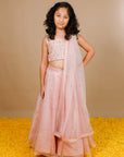 Gota Patti Pink Silk Organza Girls Lehenga set - Swati Golyan