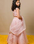 Gota Patti Pink Silk Organza Girls Lehenga set - Swati Golyan