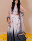 Ombre Hand Embroidered Lehenga Set for Girls - Swati Golyan