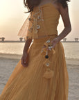 Hand Embroidered Spaghetti Top and Tasseled Lehenga Set - Swati Golyan