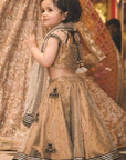 Gold Tissue Lehenga crop top set for girls - Swati Golyan