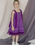 Beautiful Girl Birthday Dress - Swati Golyan