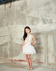 Asymmetrical Drop-Down Waist with fluffy Tulle Skirt Dress - Swati Golyan