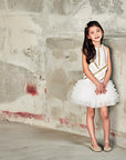 Asymmetrical Drop-Down Waist with fluffy Tulle Skirt Dress - Swati Golyan