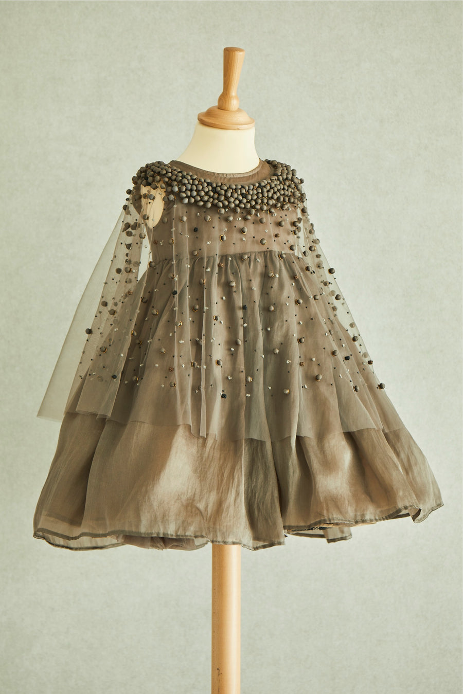 Hand Embroidered Cape and Silk Organza Dress