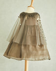 Hand Embroidered Cape and Silk Organza Dress - Swati Golyan
