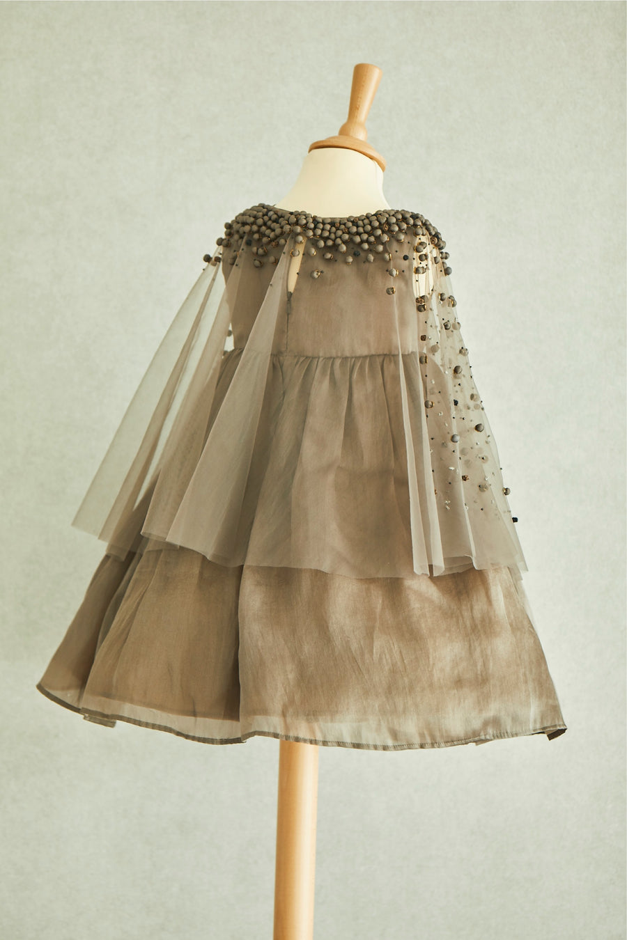 Hand Embroidered Cape and Silk Organza Dress