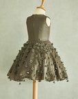 Tasseled Brown Silk Organza Dress - Swati Golyan