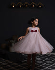 Pearl and Sequins Hand Embroidered Box Pleated Dress - Swati Golyan