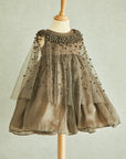 Hand Embroidered Cape and Silk Organza Dress